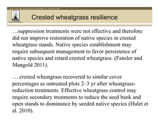 THE FORAGE AND RANGE RESEARCH LABORATORY

Crested wheatgrass resilience
PLANTS FOR THE WEST

…suppression treatments were ...