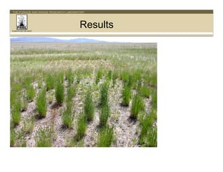 THE FORAGE AND RANGE RESEARCH LABORATORY

Results
PLANTS FOR THE WEST

 