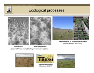 THE FORAGE AND RANGE RESEARCH LABORATORY

Ecological processes
PLANTS FOR THE WEST

Seed limitation vs. competitive exclus...