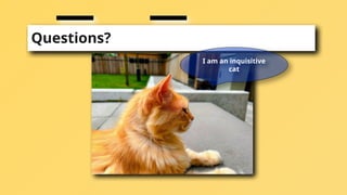 Questions?
I am an inquisitive
cat
 