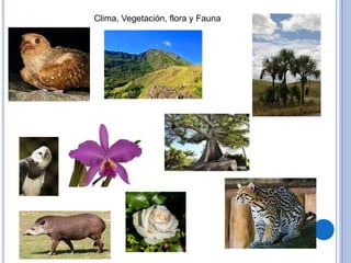 Clima, Vegetación, flora y Fauna
 