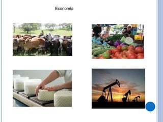Economía
 