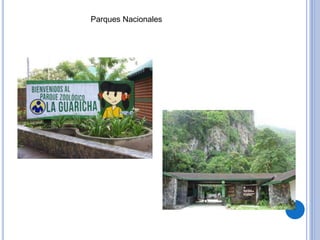 Parques Nacionales
 