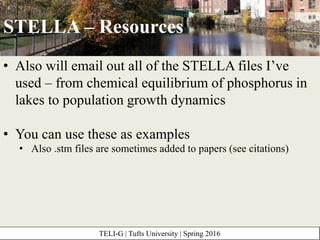 System modelling with STELLA: An introduction Slide 14