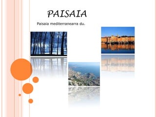 PAISAIA
Paisaia mediterranearra du.
 