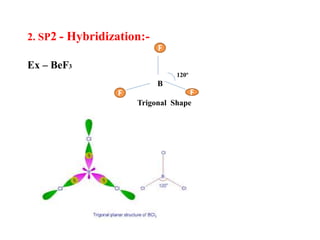 B. Sc III monali Kurnjekar ppt.pptx