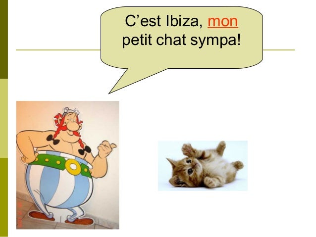 Les Animaux Familiers