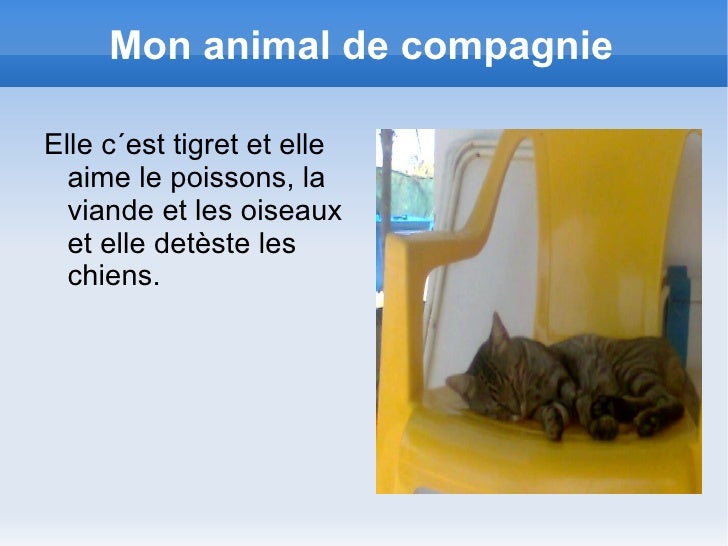 Mon animal de compagnie