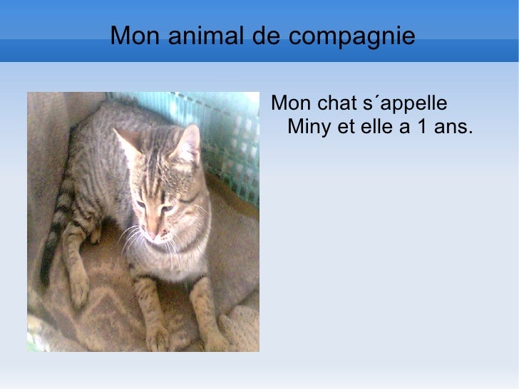 Mon animal de compagnie