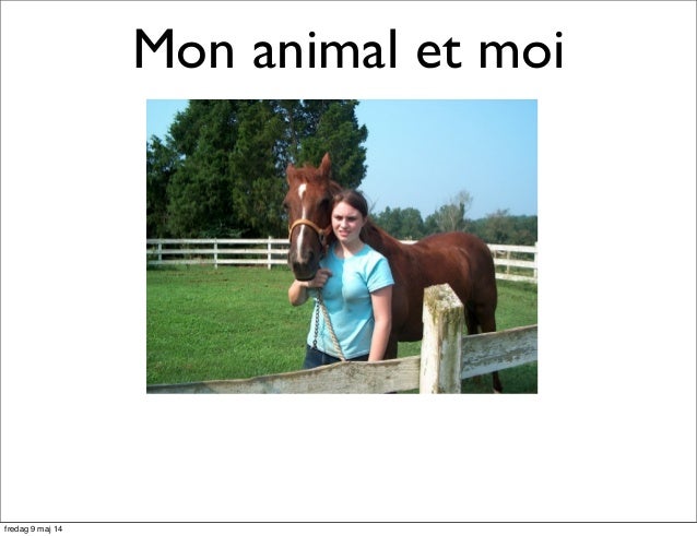 Mon animal et moi instruktioner till franska åk 6
