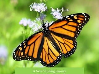 Monarchs Butterflies
A Never-Ending Journey
 