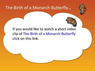 The Birth of a Monarch Butterfly…



   If you would like to watch a short video
   clip of The Birth of a Monarch Butterfly
   click on this link.
 