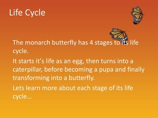 Life Cycle


 The monarch butterfly has 4 stages to its life
 cycle.
 It starts it’s life as an egg, then turns into a
 caterpillar, before becoming a pupa and finally
 transforming into a butterfly.
 Lets learn more about each stage of its life
 cycle…
 