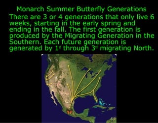 Monarch Summer Butterfly Generations
There are 3 or 4 generations that only live 6
weeks, starting in the early spring and...