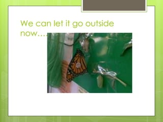 We can let it go outside
now….