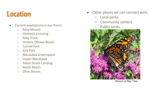 Location
● Current waystations in our Parks:
○ Rosy Mound
○ Hemlock Crossing
○ Riley Trails
○ Historic Ottawa Beach
○ Tunnel Park
○ Kirk Park
○ Macatawa Greenspace
○ Upper Macatawa
○ Adam Street Landing
○ North Beach
○ Olive Shores
● Other places we can connect with:
○ Local parks
○ Community centers
○ Public lands
Monarch at Riley Trails
 