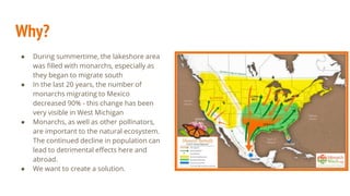 Why?
● During summertime, the lakeshore area
was filled with monarchs, especially as
they began to migrate south
● In the last 20 years, the number of
monarchs migrating to Mexico
decreased 90% - this change has been
very visible in West Michigan
● Monarchs, as well as other pollinators,
are important to the natural ecosystem.
The continued decline in population can
lead to detrimental effects here and
abroad.
● We want to create a solution.
 