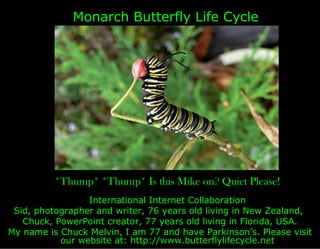 Monarch Butterfly Life Cycle




          *Thump* *Thump* Is this Mike on? Quiet Please!
                 International Internet Collaboration
 Sid, photographer and writer, 76 years old living in New Zealand,
   Chuck, PowerPoint creator, 77 years old living in Florida, USA.
My name is Chuck Melvin, I am 77 and have Parkinson’s. Please visit
           our website at: http://www.butterflylifecycle.net
 