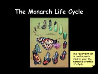 The Monarch Life Cycle This PowerPoint can be used to teach children about the Monarch Butterfly’s Life Cycle. 