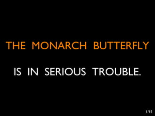 THE MONARCH BUTTERFLY

 IS IN SERIOUS TROUBLE.


                          1/15
 
