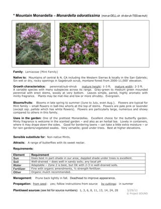 * Mountain Monardella – Monardella odoratissima

(mon-ar-DELL-uh oh-dor-uh-TISS-ee-muh)

Family: Lamiaceae (Mint Family)
Native to: Mountains of central & N. CA including the Western Sierras & locally in the San Gabriels;
Sin wet or dry, rocky openings in Sagebrush scrub, montane forest from 2000-11,000' elevation.

perennial/sub-shrub
mature height: 1-3 ft. mature width: 2-3 ft.
A variable species with many subspecies across its range. Gray-green to medium green mounded
perennial with erect stems, woody at very bottom. Leaves simple, paired, highly aromatic with
minty fragrance. Plants may be mat-like and low or more shrubby. Evergreen.

Growth characteristics:

Blooms in late spring to summer (June to July, even Aug.). Flowers are typical for
Mint family – small flowers in ball-like whorls at the top of stems. Flowers are pale pink or lavender
(except ssp. pallida which has white flowers). Flowers are particularly large, numerous and showy
compared to others in this family.

Blooms/fruits:

Uses in the garden: One of the prettiest Monardellas. Excellent choice for the butterfly garden.
Minty fragrance is welcome in the scented garden – and also as an herbal tea. Lovely in containers,
where it may drape down the sides. Good for bordering lawns – can take a little extra moisture – or
for rain gardens/vegetated swales. Very versatile; good under trees. Best at higher elevations.

Sensible substitute for: Non-native Mints.
Attracts: A range of butterflies with its sweet nectar.
Requirements:
Element
Sun
Soil
Water
Fertilizer
Other

Requirement

Does best in part-shade in our area; dappled shade under trees is excellent.
Well-drained – does well in sandy soils; any local pH
Adaptable – Zone 2 is best, but OK with 2-3 in well-drained soils.
Fine with organic amendments, ½ strength fertilizer.
Organic mulch recommended.

Management:

Prune back lightly in fall. Deadhead to improve appearance.

Propagation: from seed: yes; follow instructions from source

by cuttings: in summer

Plant/seed sources (see list for source numbers): 1, 3, 6, 8, 11, 13, 14, 24, 28

3/29/11
© Project SOUND

 