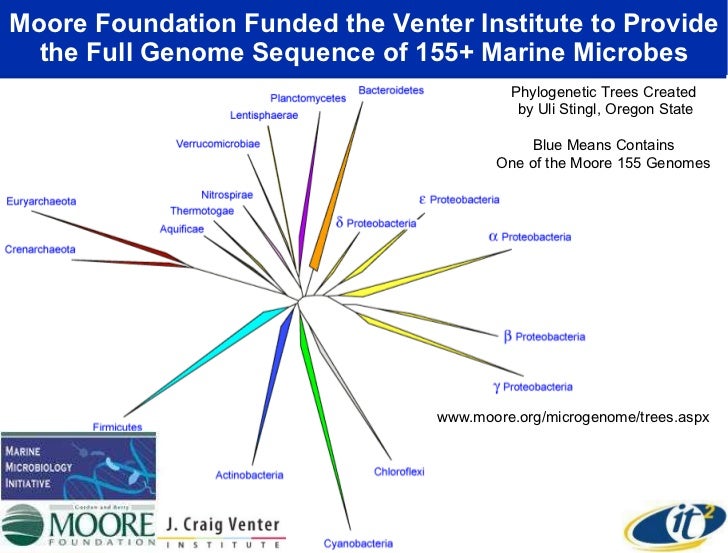 the global collaboratory the global collaboratory