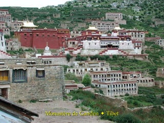 Monastère de Ganden    Tibet 