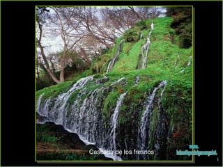 Cascada de los fresnos www. laboutiquedelpowerpoint. com 
