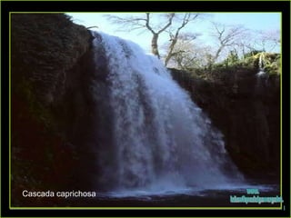 Cascada caprichosa www. laboutiquedelpowerpoint. com 