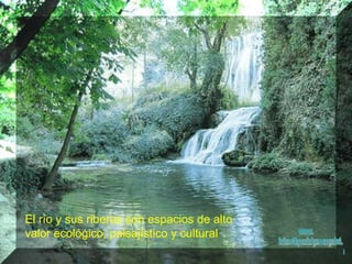 www. laboutiquedelpowerpoint. com El río y sus riberas son espacios de alto valor ecológico, paisajístico y cultural   