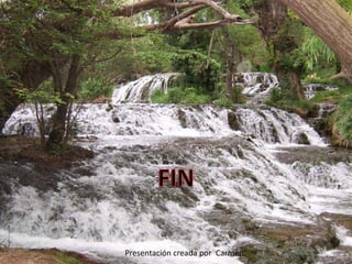 Presentación creada por Carmen
 