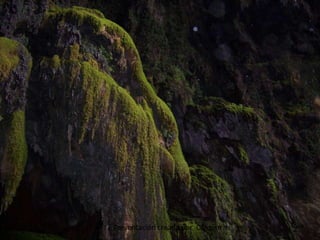 Presentación creada por Carmen
 