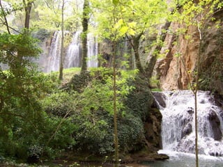 Presentación creada por Carmen
 