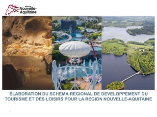 1
ÉLABORATION DU SCHEMA REGIONAL DE DEVELOPPEMENT DU
TOURISME ET DES LOISIRS POUR LA REGION NOUVELLE-AQUITAINE
Janvier 2018
 