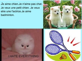 Je aime chien.Je n'aime pas chat.
Je veux une petit chien. Je veux
etre une l'actrice.Je aime
badminton.
 