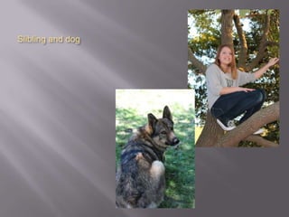 Slibling and dog
 
