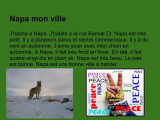 Napa mon ville
J'habite à Napa. J'habite à la rue Bancal Ct. Napa est très
petit. Il y a plusieurs parcs et centre commerciaux. Il y a du
vent en automme. J’aime jouer avec mon chien en
automme. A Napa, il fait très froid en hiver. En été, il fait
quatre-vingt-dix en plein air. Napa est très beau. La paix
est bonne. Napa est une bonne ville à habiter.
 