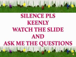 SILENCE PLS KEENLY WATCH THE SLIDE AND  ASK ME THE QUESTIONS 