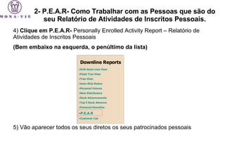 4)  Clique em P.E.A.R-  Personally Enrolled Activity Report – Relatório de Atividades de Inscritos Pessoais  (Bem embaixo na esquerda, o penúltimo da lista)  5) Vão aparecer todos os seus diretos os seus patrocinados pessoais 2- P.E.A.R- Como Trabalhar com as Pessoas que são do seu Relatório de Atividades de Inscritos Pessoais. Drill-down Line View   Flash Tree View   Tree View   Auto-Ship Status   Personal Volume   New Distributors   Rank Advancements   Top 5 Rank Advance   Personal Downline   P.E.A.R   Customer List   Downline Reports 