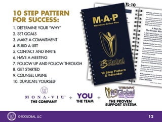 Monavie Flip Charts