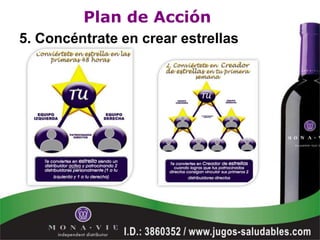 Plan de Acción
5. Concéntrate en crear estrellas
 
