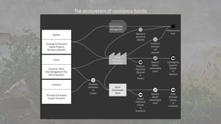 The ecosystem of resilience bonds
 