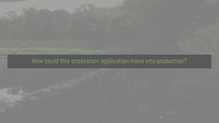 How could this ecosystem application move into production?
 