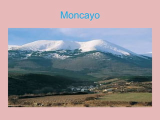 Moncayo
 