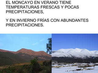 EL MONCAYO EN VERANO TIENE
TEMPERATURAS FRESCAS Y POCAS
PRECIPITACIONES,

Y EN INVIERNO FRÍAS CON ABUNDANTES
PRECIPITACIONES.
 