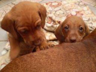 Monce.odp [reparado]