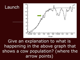 Launch Give an explanation to what is  happening in the above graph that shows a cow population? (where the arrow points)   