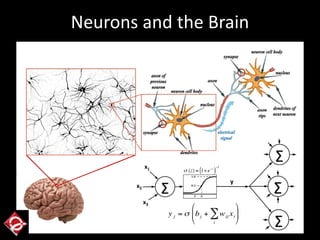 Neurons and the Brain
 