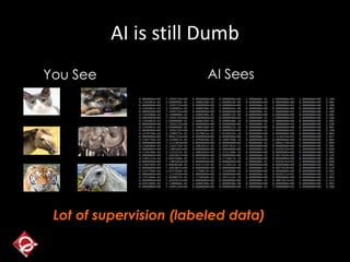 AI is still Dumb
You See AI Sees
Lot of supervision (labeled data)
 