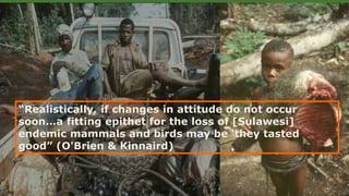 “Realistically, if changes in attitude do not occur
soon…a fitting epithet for the loss of [Sulawesi]
endemic mammals and birds may be 'they tasted
good” (O'Brien & Kinnaird)
 